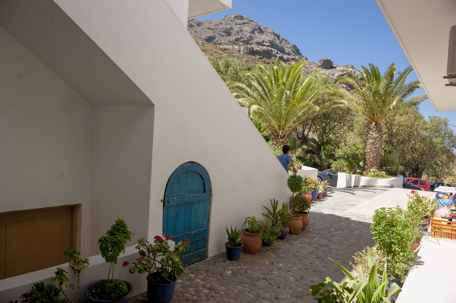 The hotel buildings and garden